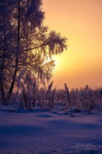 Morgenfrost / ***