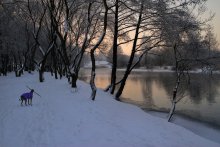 Die Januar-Abend / ***