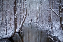 Travel in winter ... / ***