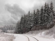 Road to the Warm Forest / ***