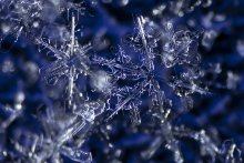 Snowflakes / ***