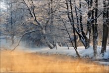 WINTER GOLD / ***