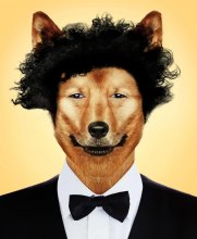 Elegante Mr. Furry / ***