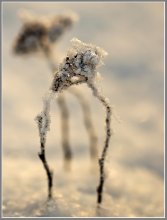Warm Abendsonne / ***
