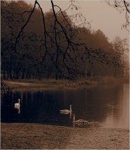 Rainy Day / ***