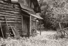 Untrodden paths / ***