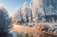 Frosty Morning / ___