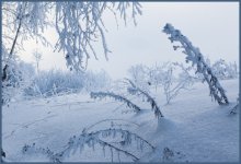 The January silence / ***