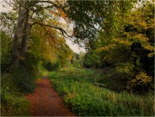 , ... Park &quot;trails&quot; ... / ***