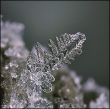 Crystal sherbet ... / ***