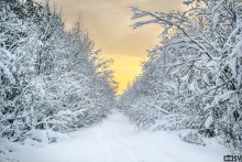 Road to the warm tones / ***