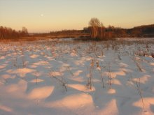 influence of the Moon / ***