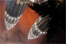 the dark butterflies Malaysia ... / ***