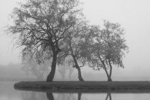 Fog Station / ***