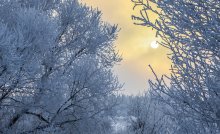January evening / ***