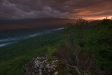 Nach dem regen .. / ***