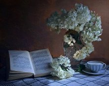 With hydrangea / ***