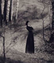 silence ... II / ***