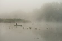Misty island shores. / ***