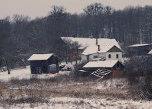 Our backyard / ***