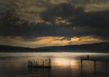 Swimming in the dawn / ***