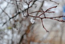 of drop / ***