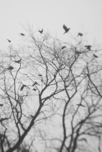 Untitled / ***