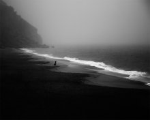Surfer / ***