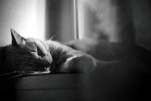 Kuzma / ***