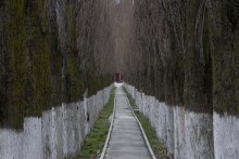 Poplar Alley / ***