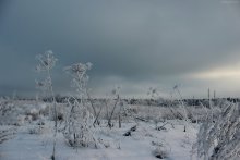 Winter / ***