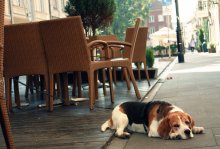 Sunday morning, waiting for the coffee / ***
