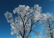 skyward / ***