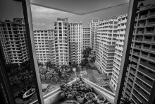 Geometry of S quarters / ***