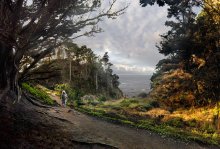 walk to the ocean / ***