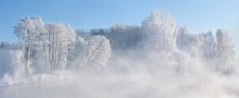 Gray Morning ........ ....... (small series) / [img]http://f2.s.qip.ru/echeMzer.jpg[/img]
[img]http://f3.s.qip.ru/echeMzet.jpg[/img]
