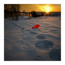 of the ball and the elephant / ......