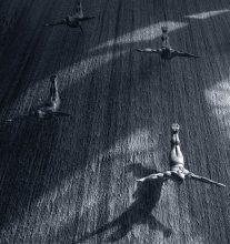 flight / ***