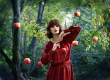 Apple Magic / ***