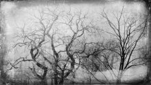 remembrance / ***