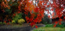 ... Just winter rain has passed ... / ***