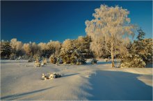 Im Wald, am Rande von zwei / ***