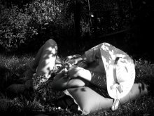 Summer / ***