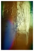 [Hello spring] :) / ***