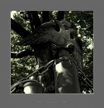 Bicephalous / ***
