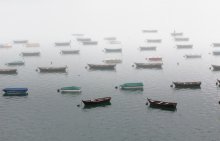 In the fog / ***