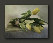 Moscow time - spring! / ............