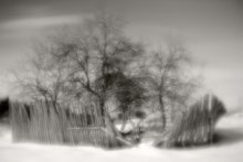 Lifting the curtain ... / ...