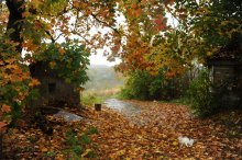 Autumn palette / ...