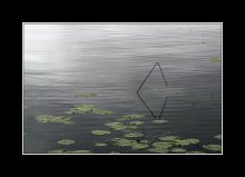 Signs of Water / ***